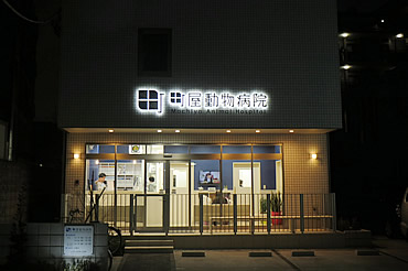 外観(夜)