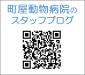 町屋動物病院のスタッフブログ